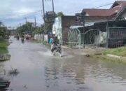 Warga Tambak Bayan Desa Saintis Berharap Pemkab Deli Serdang Atasi Banjir