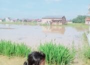 Sungai Blumai Meluap, Puluhan Rumah di Tiga Dusun Terendam Banjir Akibat Tanggul Jebol