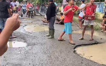 Warga Tanam Pohon Pisang dan Tebar Ikan Lele Depan Kantor Kecamatan Kutambaru, Protes Warga Akibat Jalan Rusak