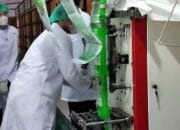 Dukung Swasembada Gula Nasional, PT SGN Siap Tingkatkan Produktivitas