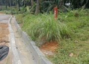 Pemdes Amal Tani Diduga Bangun Infrastruktur di Lahan HGU Gunakan DD