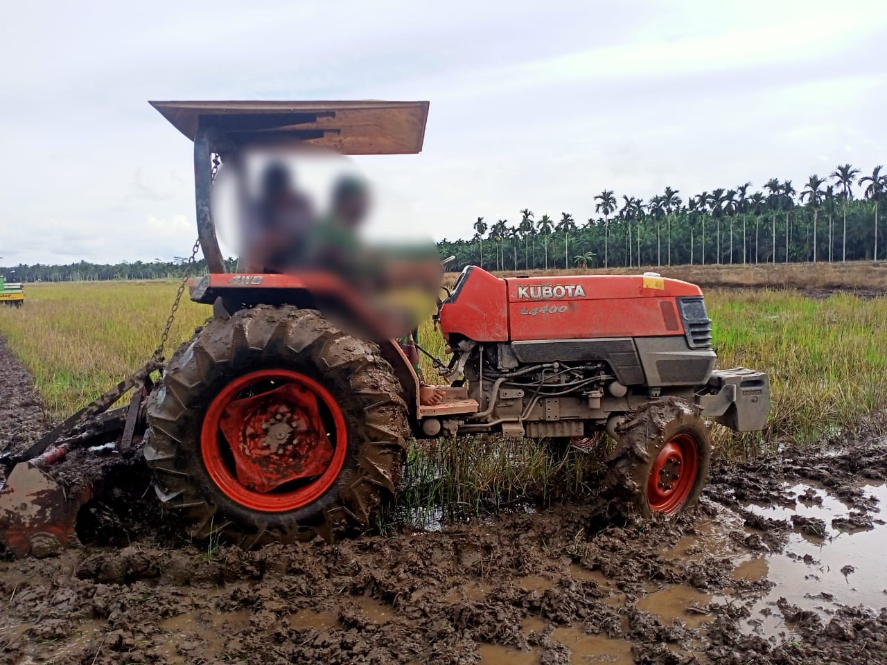 Traktor tewaskan petani pantai labu