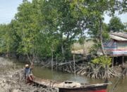 Diterpa Isu Penutupan Palu dan Alih Fungsi Lahan, Ini Penjelasan Warga