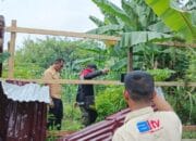 Pembongkaran Pagar Seng Ilegal di Hutan Lindung Rugemuk oleh DLHK Sumut