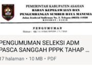 TKS RSUD HAMS Kisaran Bisa Ikut Seleksi PPPK 2024, TKS di Puskesmas Dinyatakan TMS
