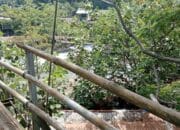 Jembatan Gantung di Wisata Bukit Lawang Bikin Pengunjung “Jantungan”