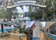 Terkait Dugaan Korupsi dan Jual Pohon Mahoni Untuk Kepentingan Pribadi,DPP LSM Formappel-RI Akan Laporkan Kepala SMPN 1 Biru-Biru