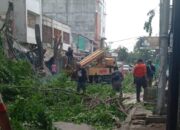 Pemerintah Kota Tanjungbalai Gelar Gotong Royong Antisipasi Pohon Tumbang.