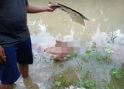 Warga Gempar : Temukan Seorang Laki-Laki Sudah Tidak Bernyawa Di Sungai Jembatan Arteri