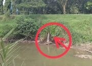 Viral…!! Dugaan Limbah PT Evergreen, Warga Resah Akibat Bau Menyengat dan Suara Bising