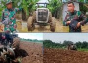 Ironis! Diduga Oknum TNI AU Merusak Tanaman Singkong di Desa Tadukan Raga STM Hilir