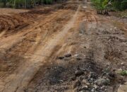 DPP LSM FORMAPPEL-RI: Galian C Ilegal di Medan Sinembah Bukti Negara Takluk pada Pelaku Tambang Liar