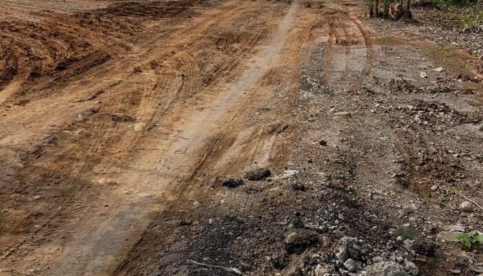 DPP LSM FORMAPPEL-RI: Galian C Ilegal di Medan Sinembah Bukti Negara Takluk pada Pelaku Tambang Liar