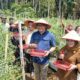 Aksi Nyata “Berjemur”: Bupati Asri Ludin Tambunan Turun ke Ladang, Borong Cabai Petani Kutalimbaru