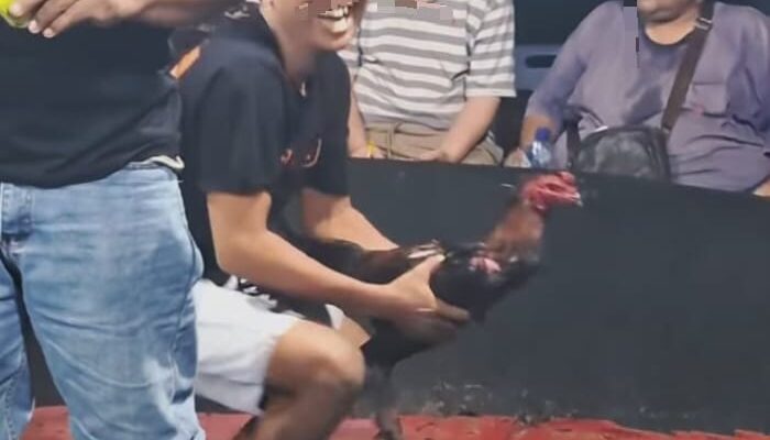Event Judi Jadi Bukti Nyata: Polsek Kutalimbaru Diduga Tak Punya Taring Hadapi Kelompok ‘Edy’