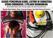 Nyamar Jadi Petugas PLN, Dua Pencuri Kabel Listrik di Tebing Tinggi Berhasil Diringkus Polisi