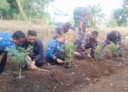 Tingkatkan Ketahanan Pangan, TNI AL Kodaeral I Tanam Perdana Kedelai di Lahan 270 Hektare di Deli Serdang
