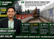 PW HIMMAH Sumut Soroti Penebangan 2.700 Pohon Demi Proyek BRT di Medan: Kebijakan Tumpang Tindih