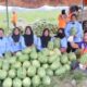 Petani Buah di Serdang Bedagai Ikut Merasakan Dampak Program MBG Bapak Prabowo