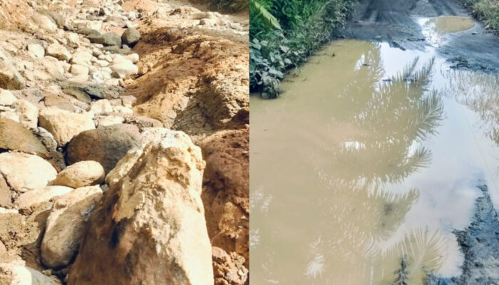 Lapor Plt Bupati Langkat, Sejak Tahun 1970, Infrastruktur Jalan Di Mejuah-Juah Tidak Pernah Diperhatikan Pemerintah Kabupaten Langkat