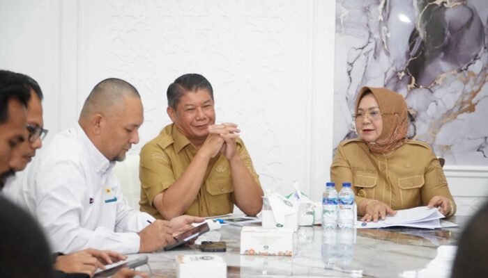 Plt Bupati Langkat Dorong PLN Percepat Listrik Desa