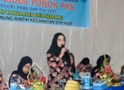 Monitoring PKK di STM Hilir, Perkuat UP2K, PHBS dan IVA Test