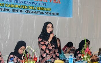 Monitoring PKK di STM Hilir, Perkuat UP2K, PHBS dan IVA Test