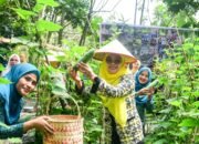Dari Pekarangan hingga Pembinaan Remaja, Asniar Dorong PKK Hadirkan Manfaat Nyata