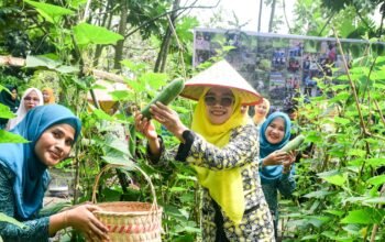 Dari Pekarangan hingga Pembinaan Remaja, Asniar Dorong PKK Hadirkan Manfaat Nyata