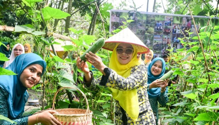 Dari Pekarangan hingga Pembinaan Remaja, Asniar Dorong PKK Hadirkan Manfaat Nyata