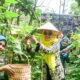 Dari Pekarangan hingga Pembinaan Remaja, Asniar Dorong PKK Hadirkan Manfaat Nyata