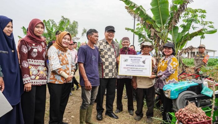 Bawang Merah Mulai Dikembangkan di Namorambe, Target 13 Ton per Hektare