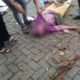 Seorang Wanita Pedagang Mainan Lukisan Anak Tewas Tertimpa Pohon Di Lapangan Merdeka Binjai