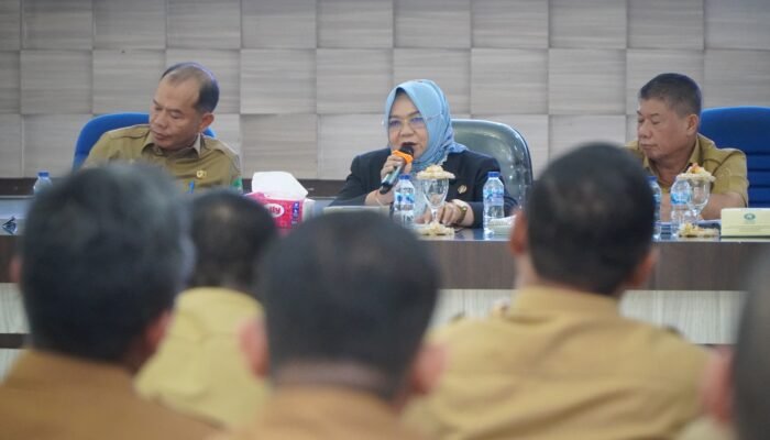 Plt Bupati Tiorita Perintahkan Penertiban Kendaraan Dinas, Aset Langkat Harus Jelas dan Tertib