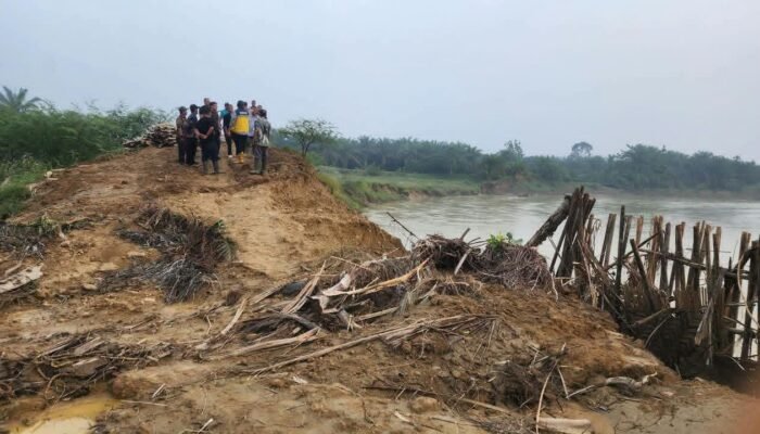 Plt. Bupati Langkat Tiorita Perjuangkan Aspirasi Masyarakat, Dorong Perbaikan Tanggul Paya Bunder